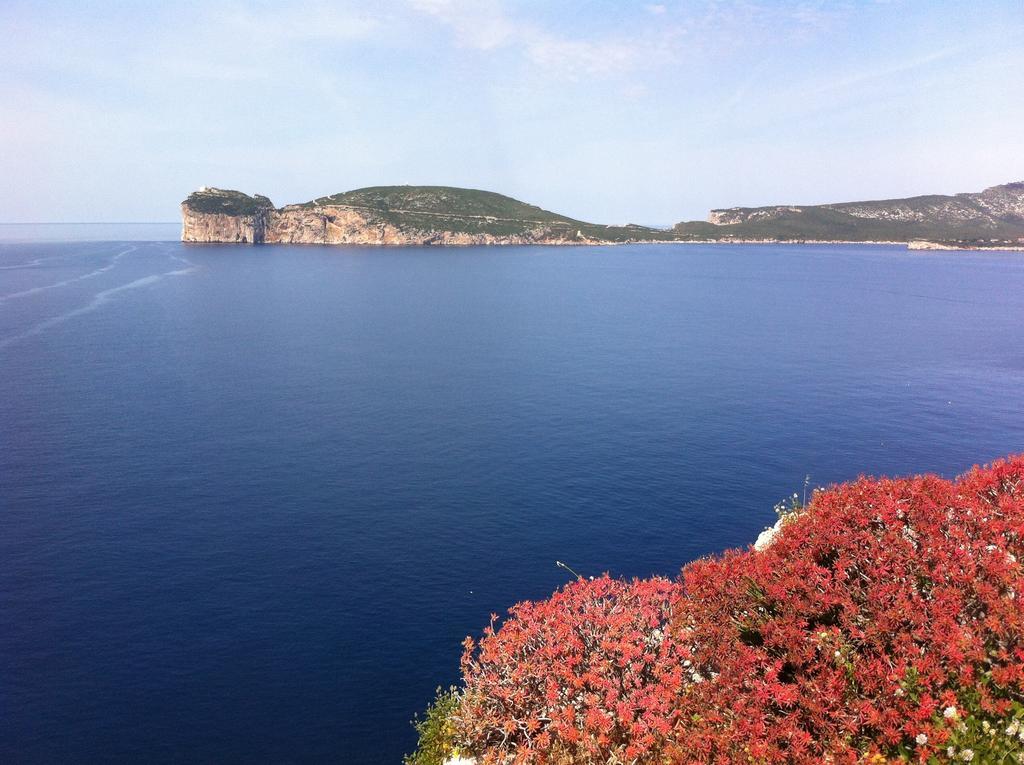 Solelunamare Guest House Alghero Luaran gambar